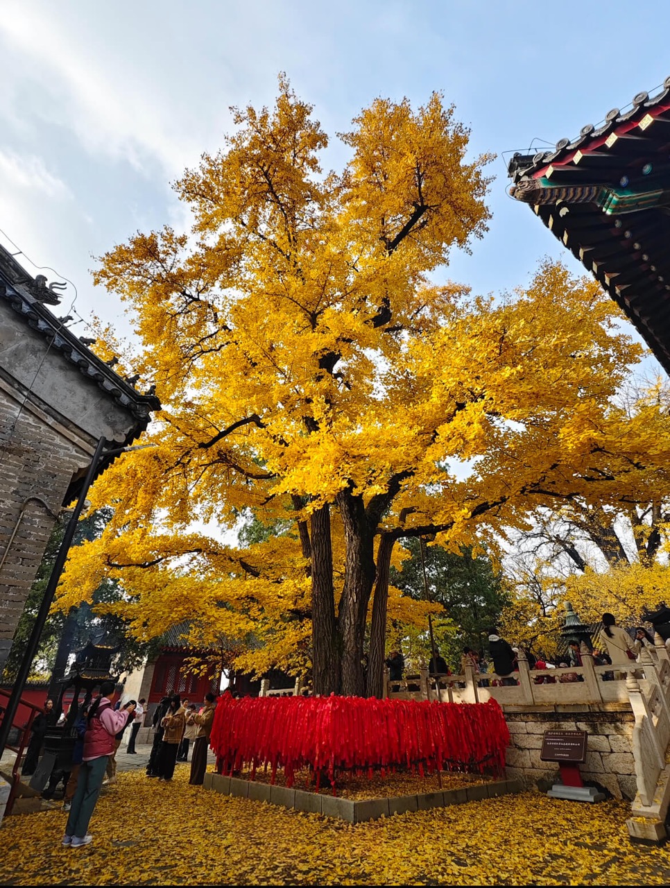 Hongluo Temple